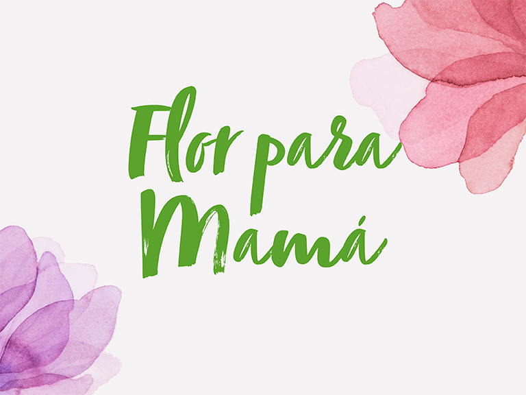 Promociones Flor para mamá Islazul