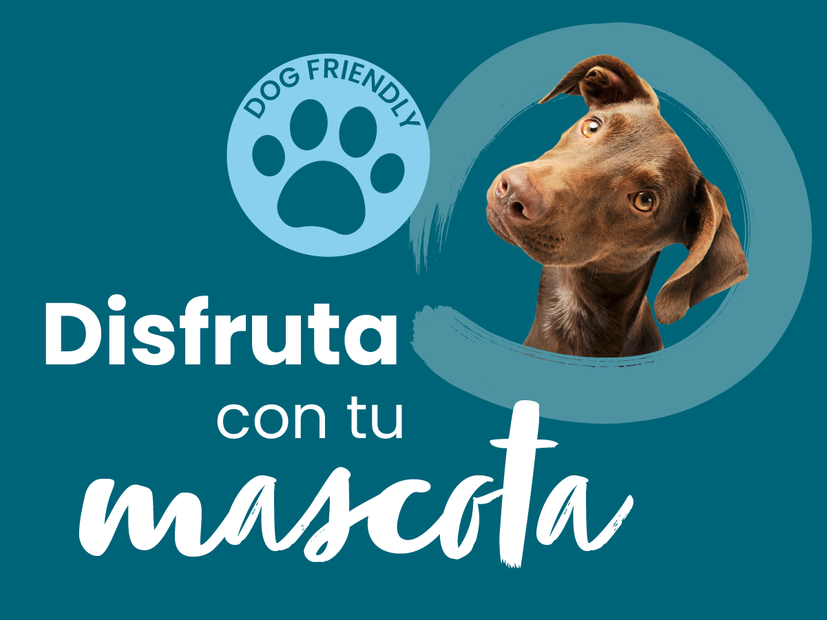 ¡Ven con tu mejor amigo canino a Islazul!  🐾